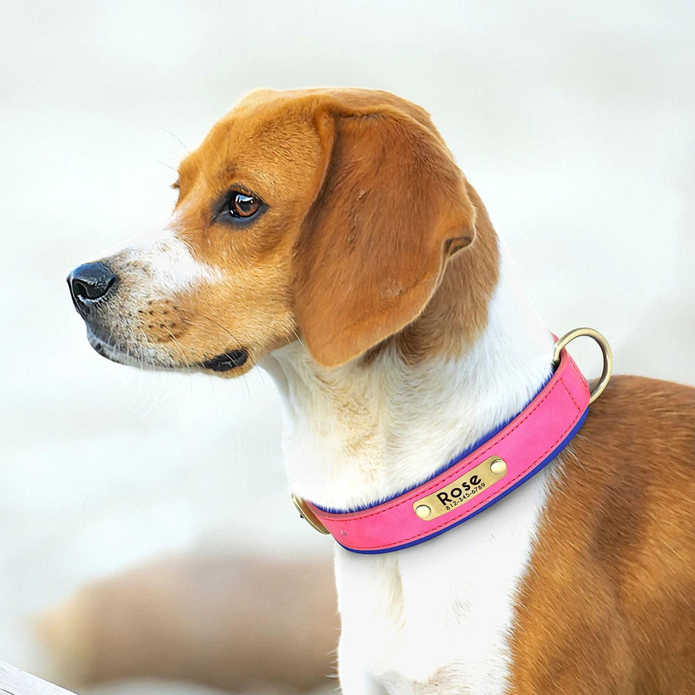 Coleira de couro personalizada para cães - macia, acolchoada e gravada personalizada para todos os tamanhos.